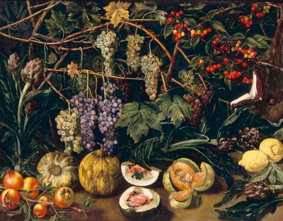 Grapes and Pumpkins by Florentine School